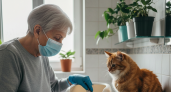 Почему людям старше 65 лет стоит держаться подальше от кошек - объяснение ученых